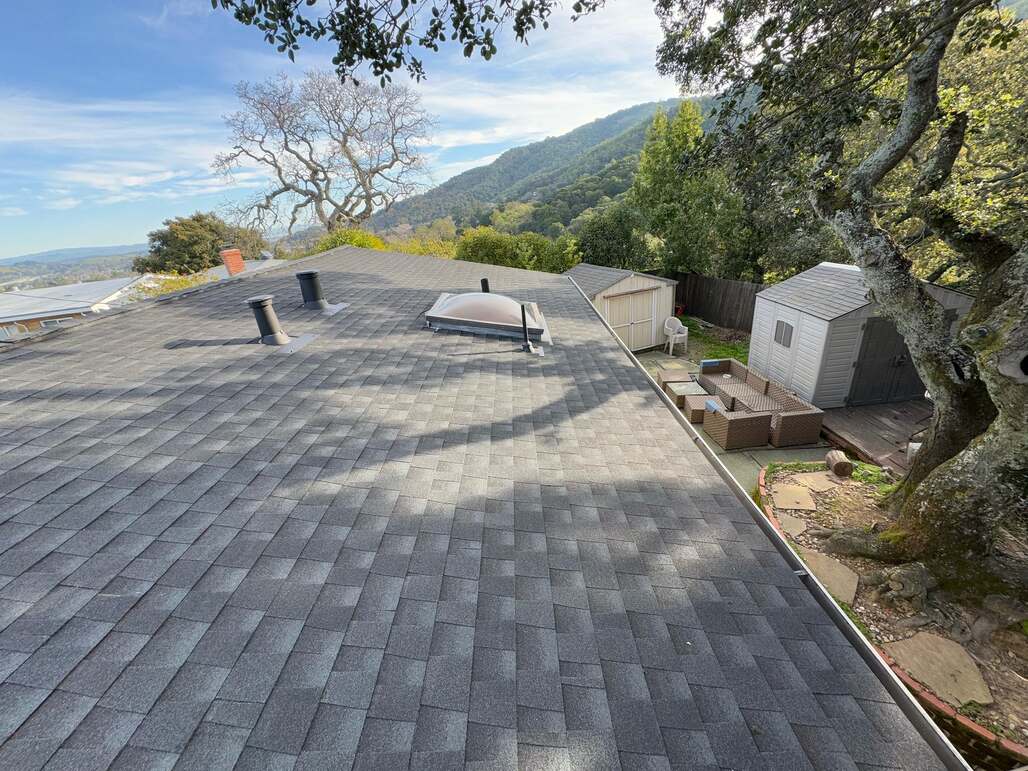 tsp-roofing-shingle-roof